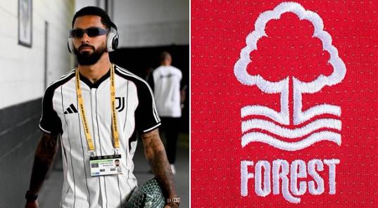 Douglas Lewis sẽ vào rừng để kiểm tra sức khỏe ngày hôm nay! Douglas Lewis sẽ vào rừng để kiểm tra sức khỏe ngày hôm nay!